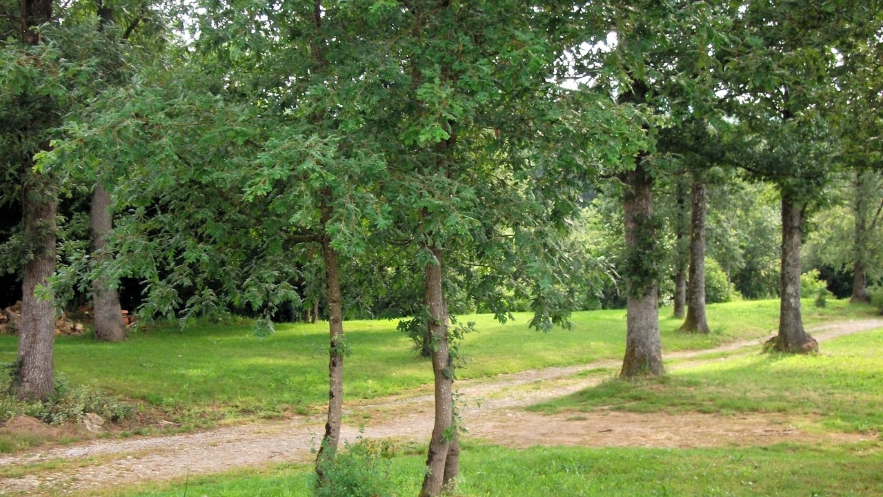 Photo of Outdoor in Cenac-et-Saint-Julien