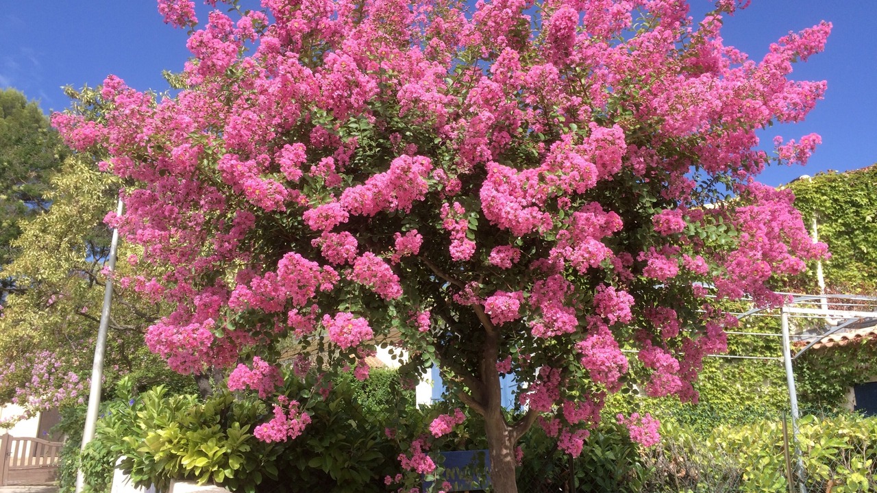 Photo of Outdoor in Aiguelongue