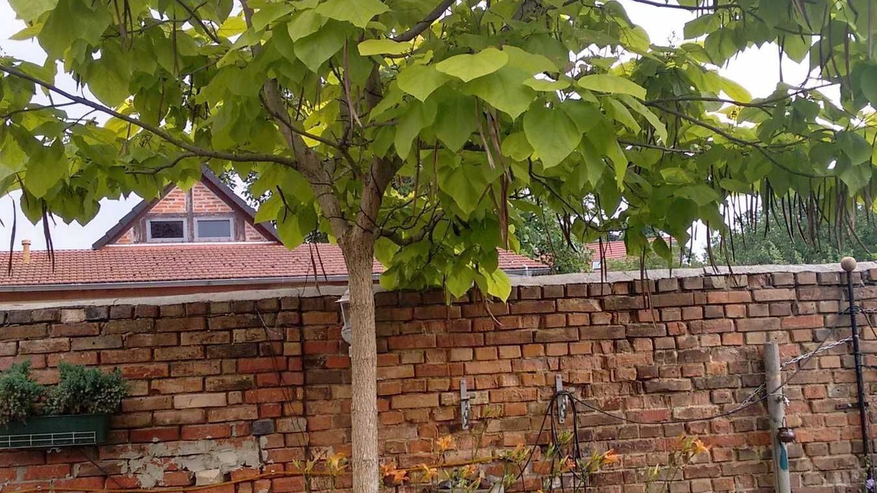 Photo of Outdoor in Stendal