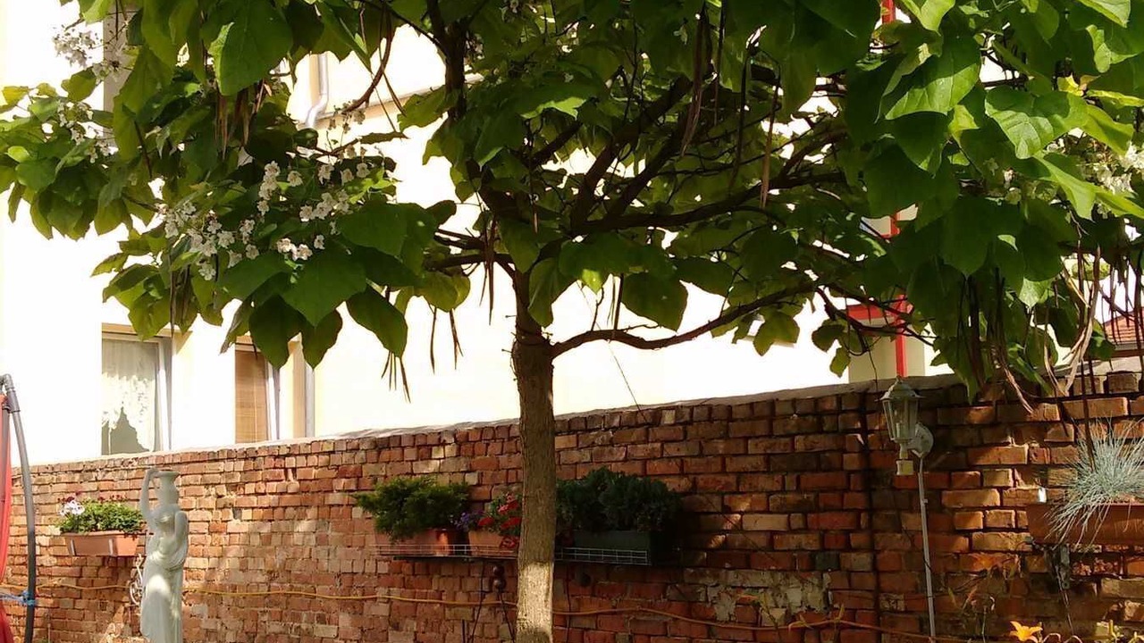 Photo of Outdoor in Stendal