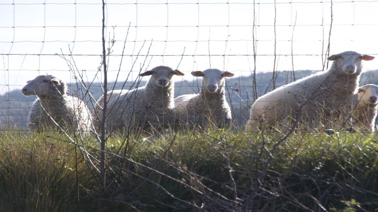 Photo of Outdoor in Sainte-Anastasie