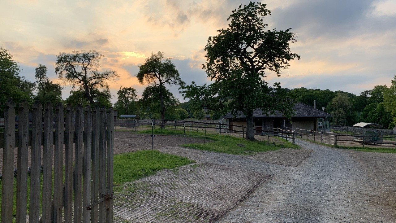 Photo of Outdoor in Nienover
