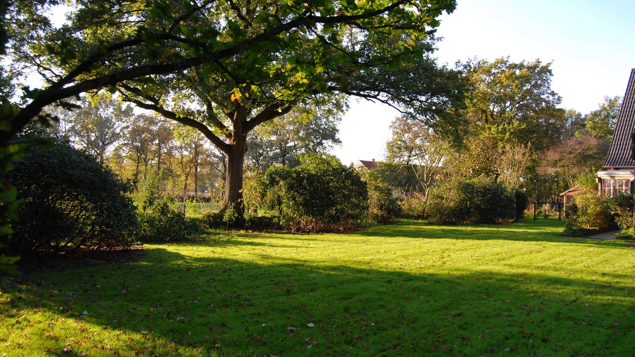 Photo of Outdoor in Grosefehn