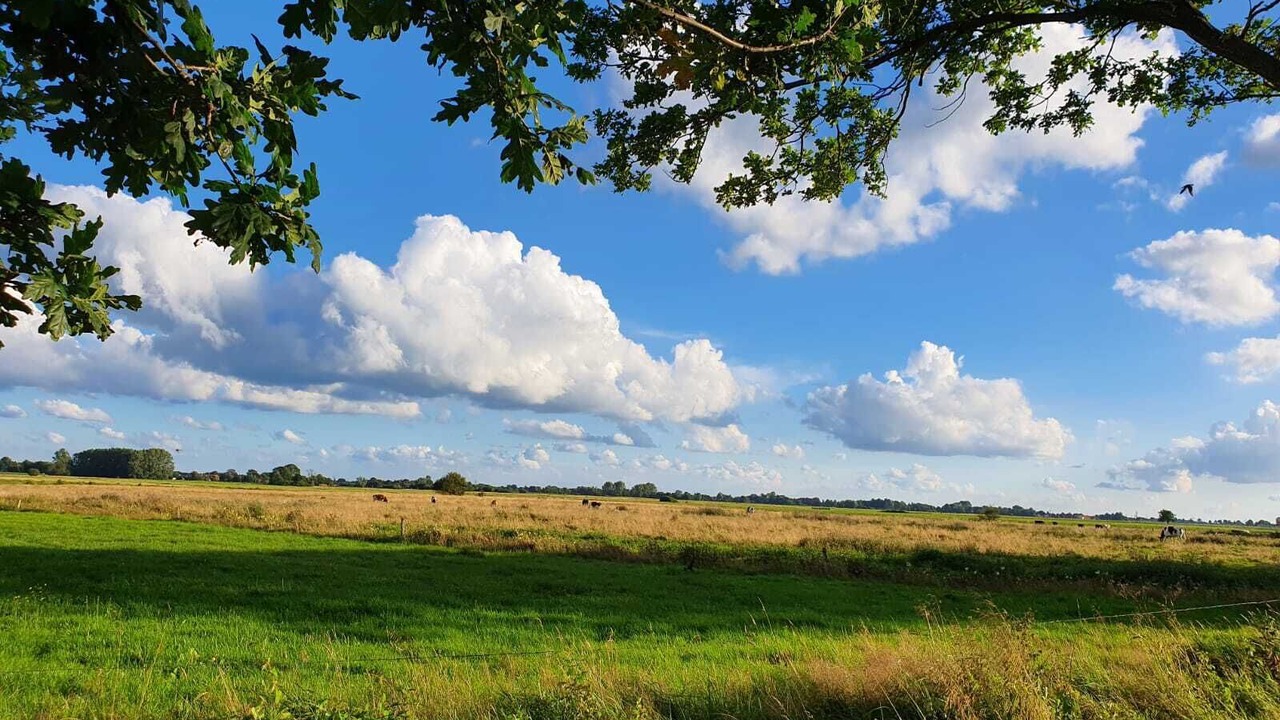 Photo of Outdoor in Grosefehn