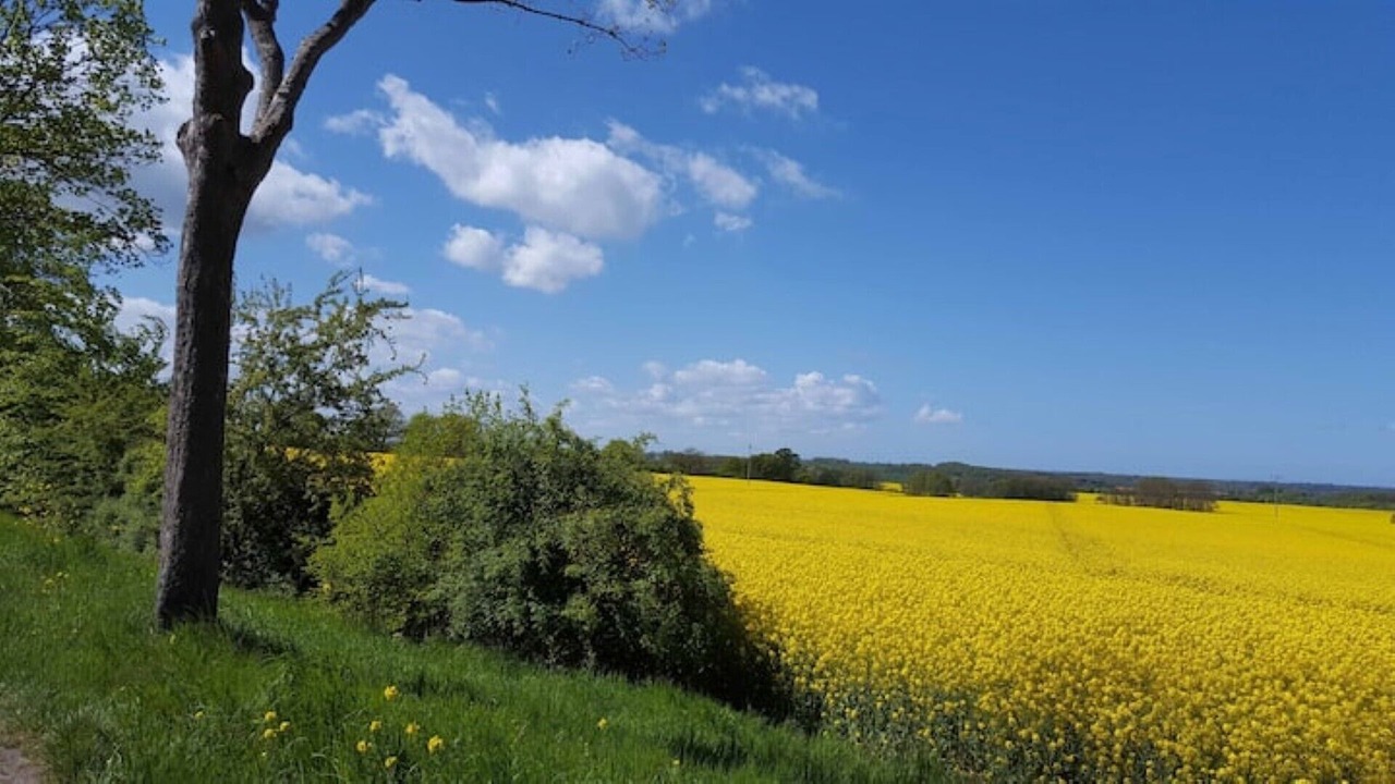Photo of Others in Wohlenberg