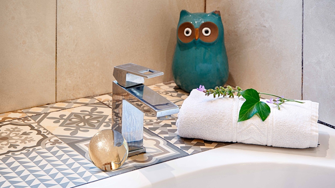 Photo of Bathroom in Sales de Llierca