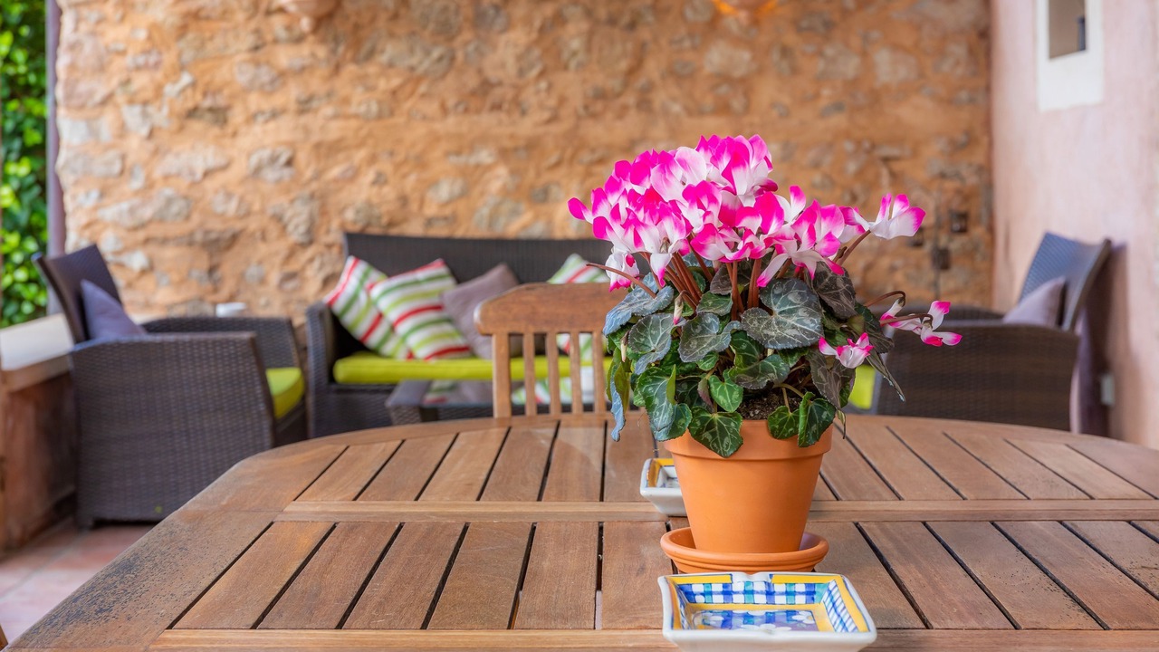 Photo of Outdoor in Capdepera