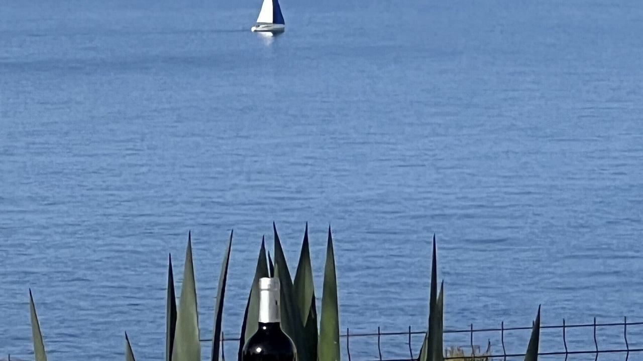 Photo of Others in Cala Pi