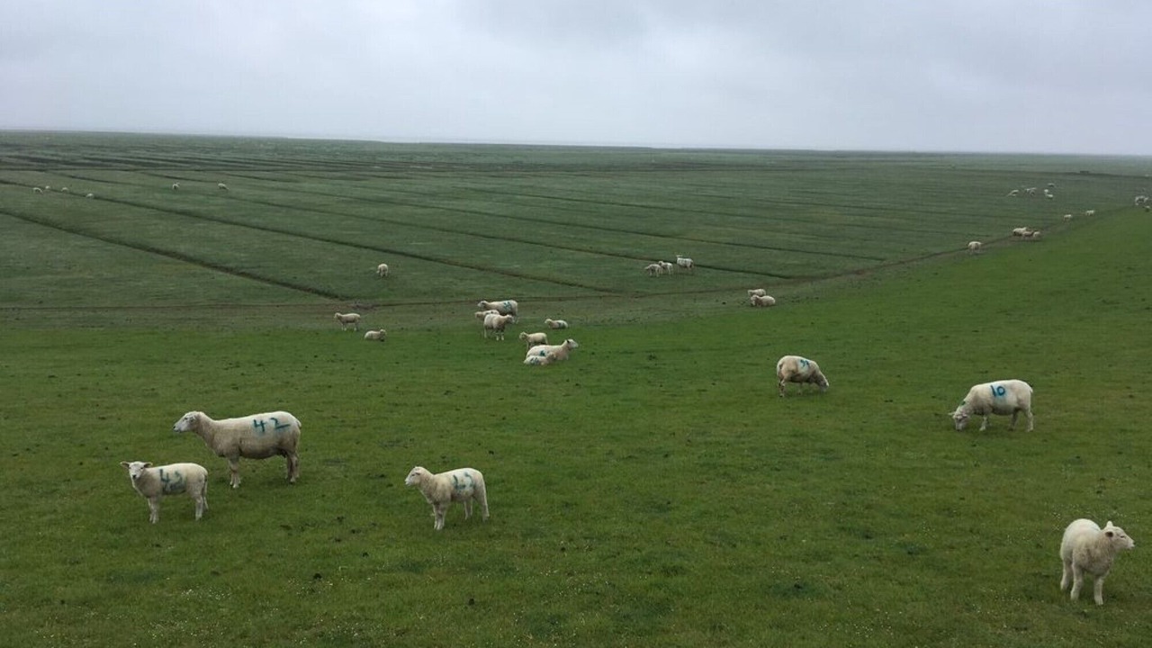 Photo of Outdoor in Emmelsbuell-Horsbuell