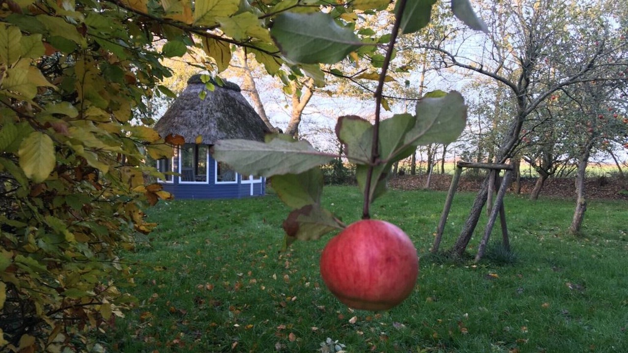 Photo of Outdoor in Emmelsbuell-Horsbuell