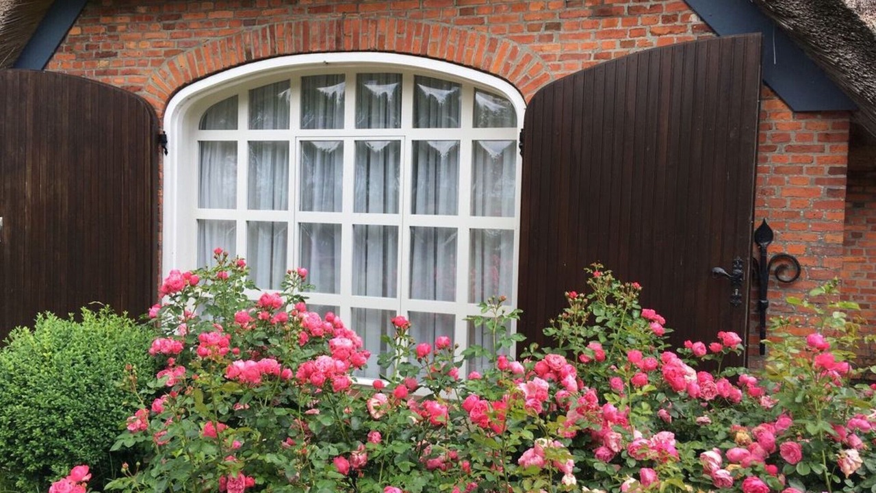 Photo of Outdoor in Emmelsbuell-Horsbuell