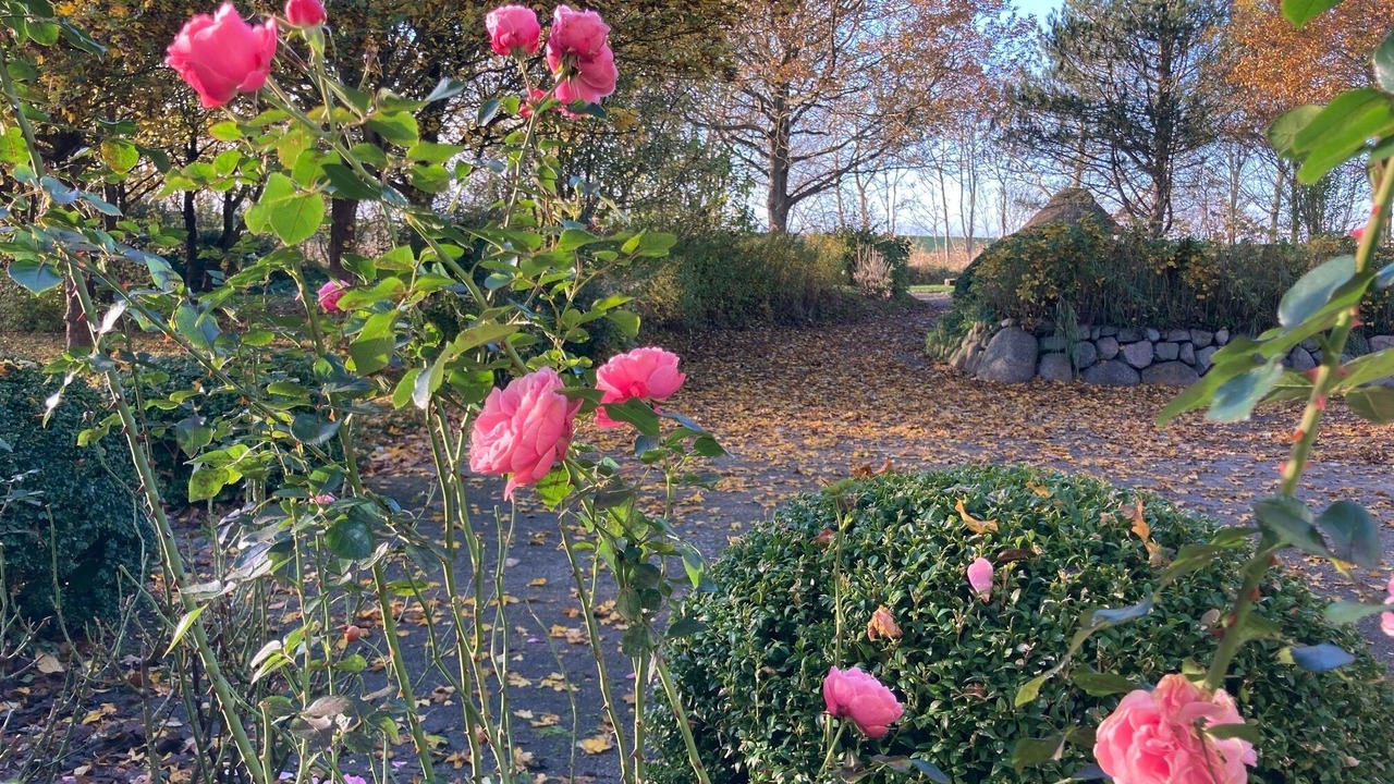 Photo of Outdoor in Emmelsbuell-Horsbuell