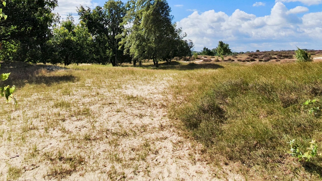 Photo of Outdoor in Bergedorf