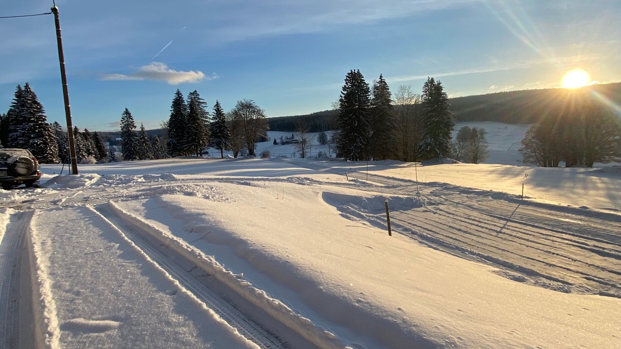 Photo of Others in Morbier