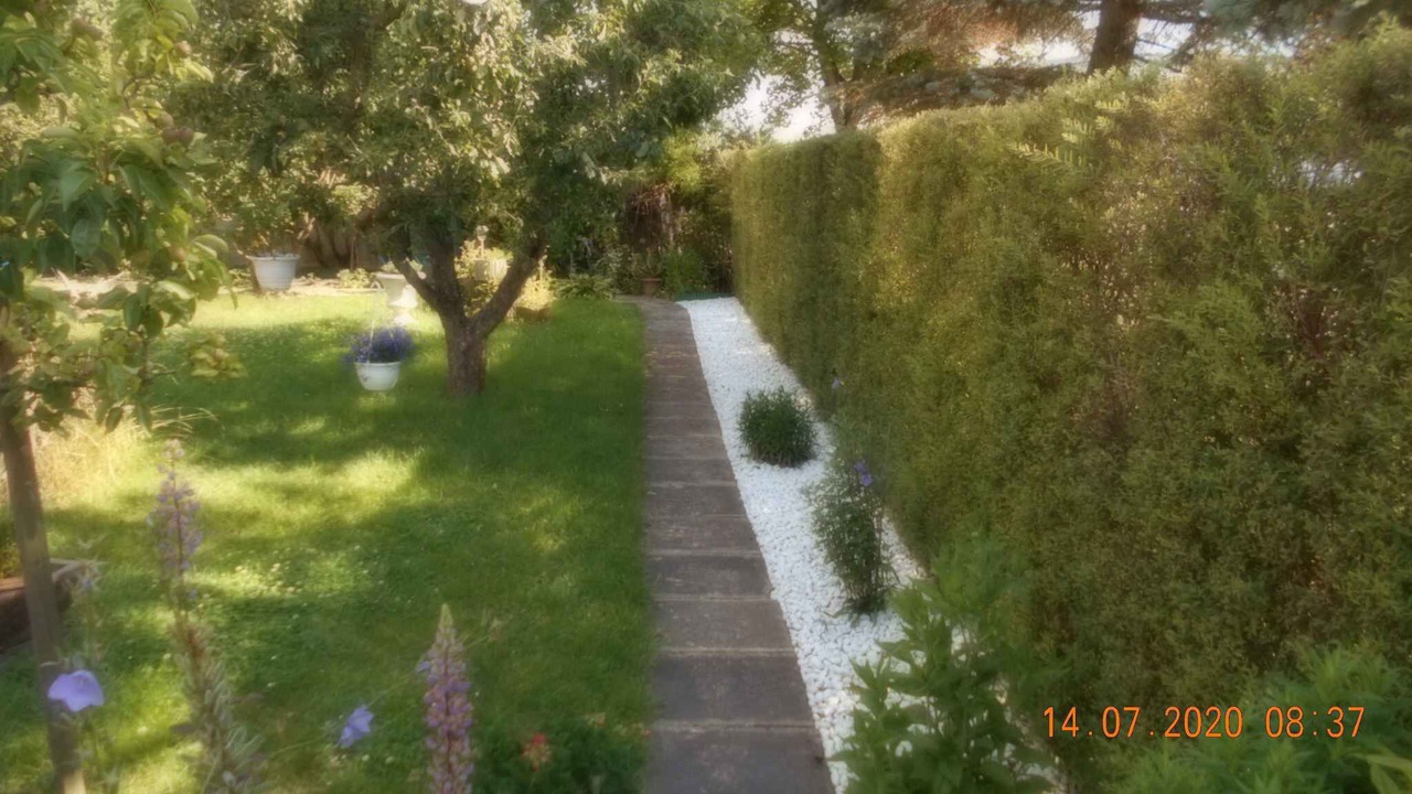 Photo of Outdoor in Dankerode
