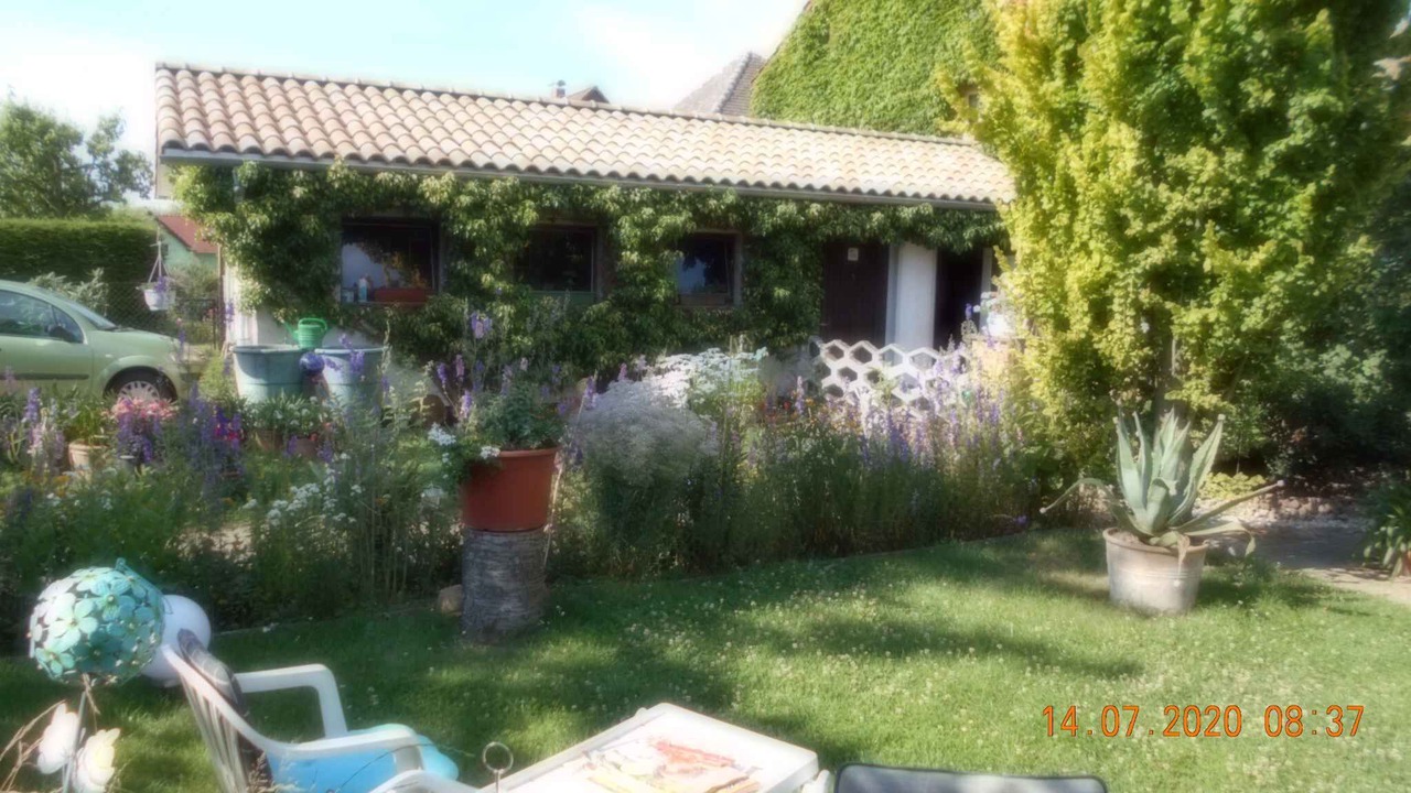 Photo of Outdoor in Dankerode