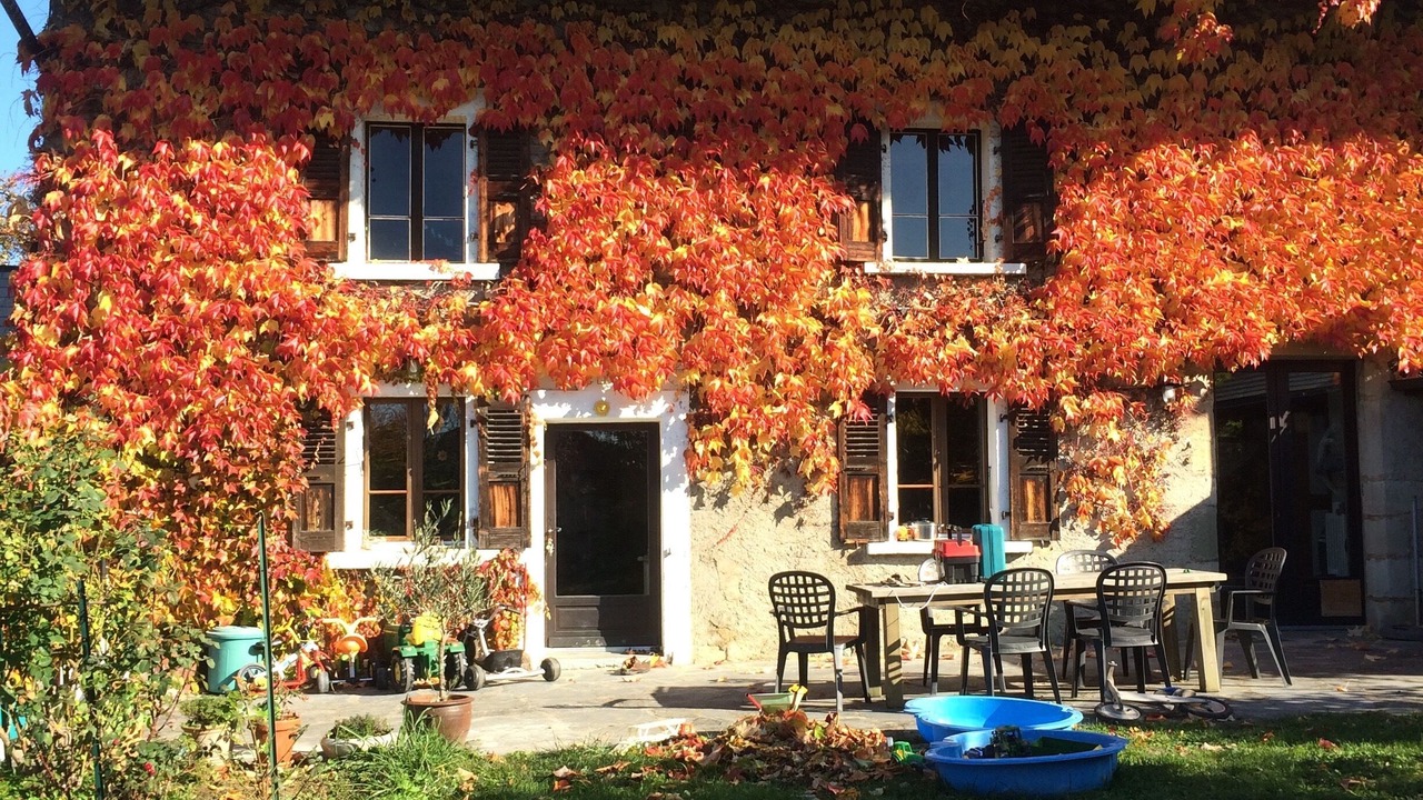 Photo of Outdoor in Cercier