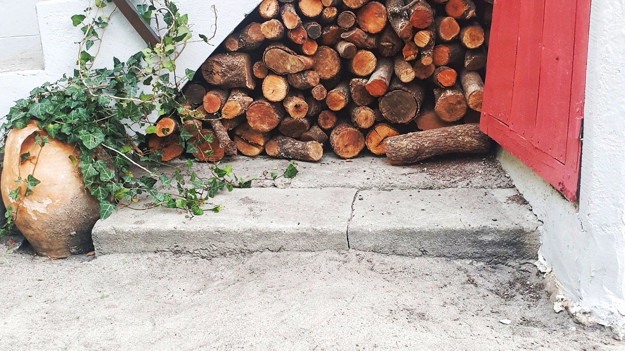 Photo of Outdoor in Navas de Oro