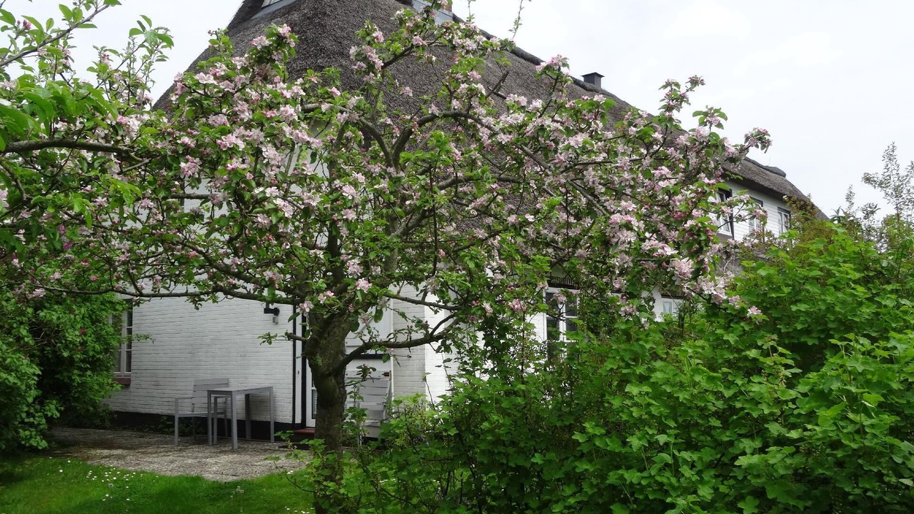 Photo of Outdoor in Pommerby