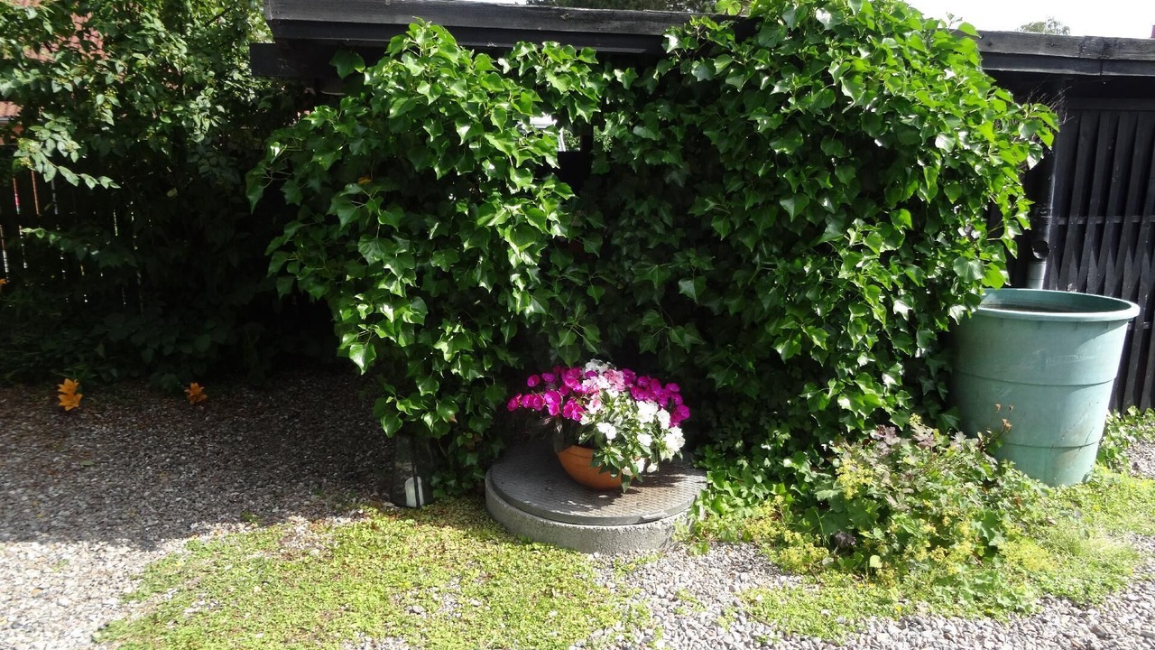 Photo of Outdoor in Pommerby
