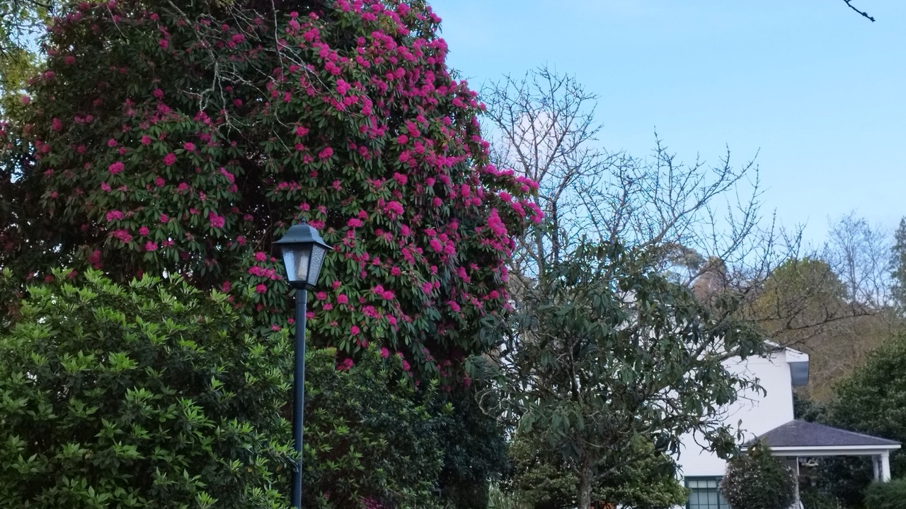 Photo of Outdoor in Gondomar