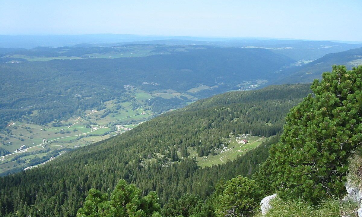 Photo of Others in Clairvaux-les-Lacs
