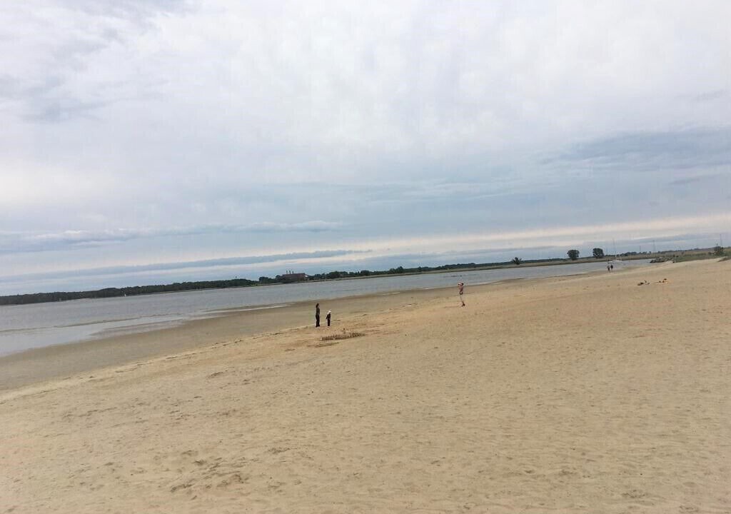 Photo of Others in Freest