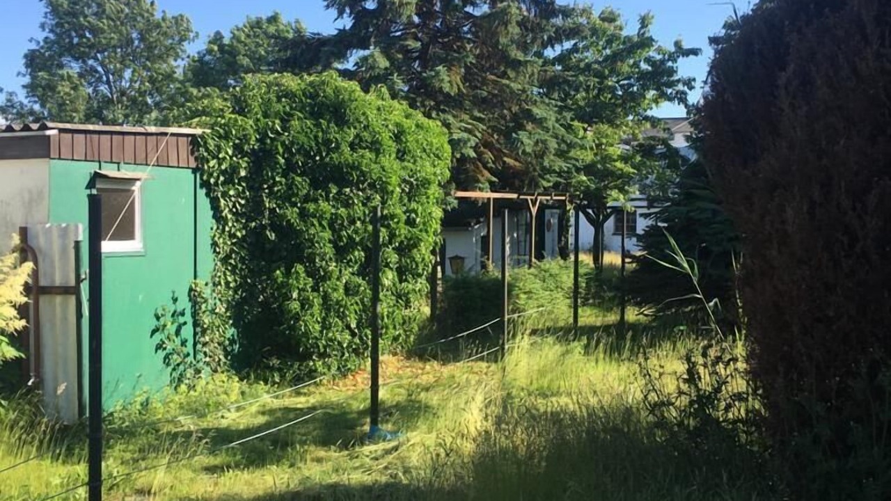 Photo of Outdoor in Freest