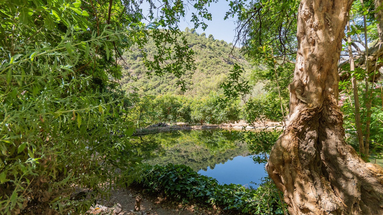 Photo of Outdoor in Coin