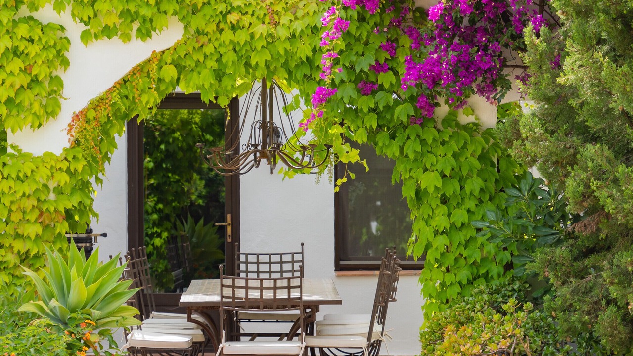 Photo of Outdoor in Coin
