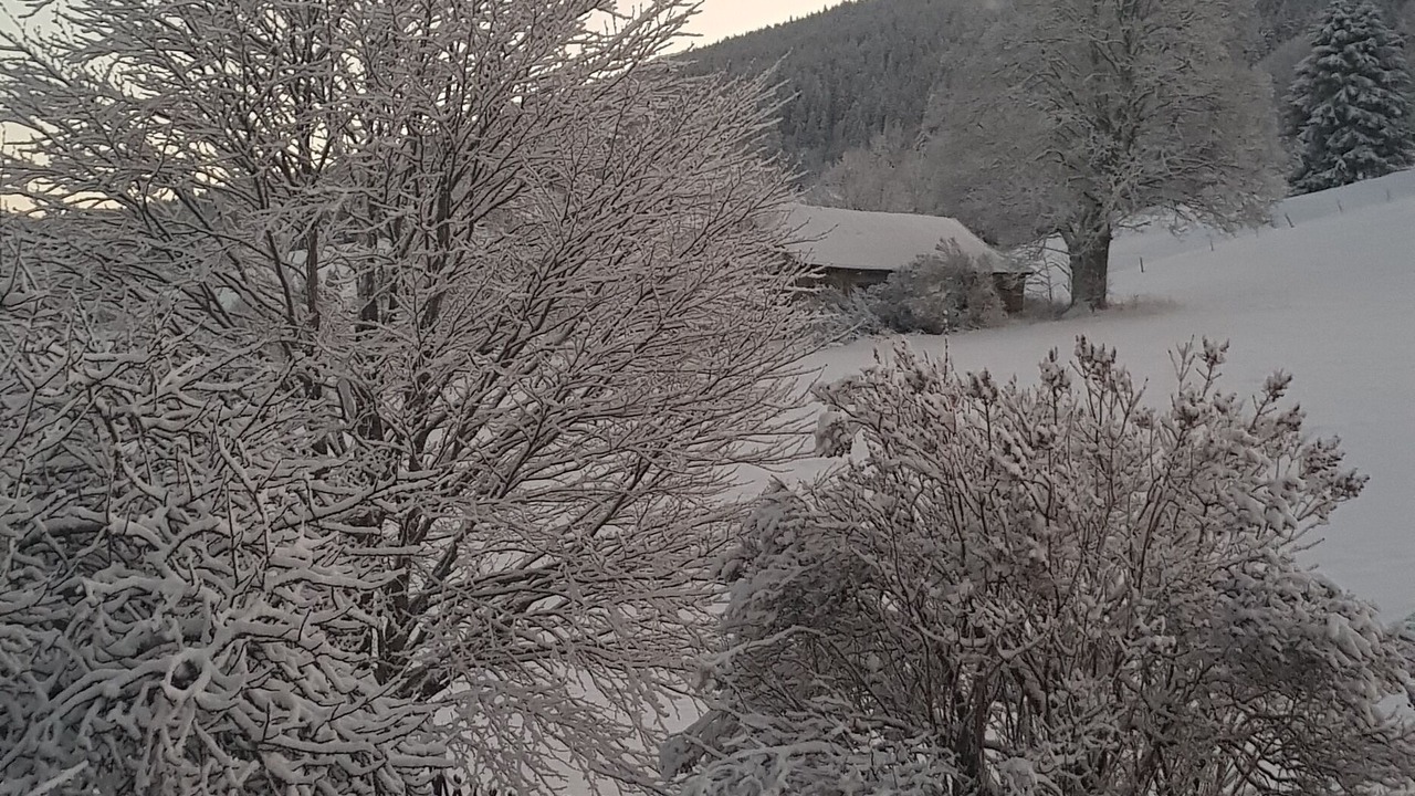 Photo of Outdoor in Les Rousses