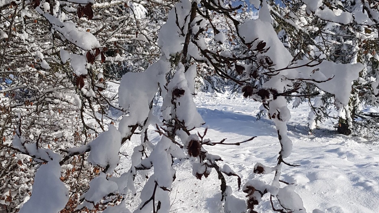 Photo of Outdoor in Les Rousses