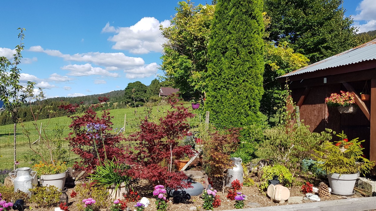 Photo of Outdoor in Les Rousses