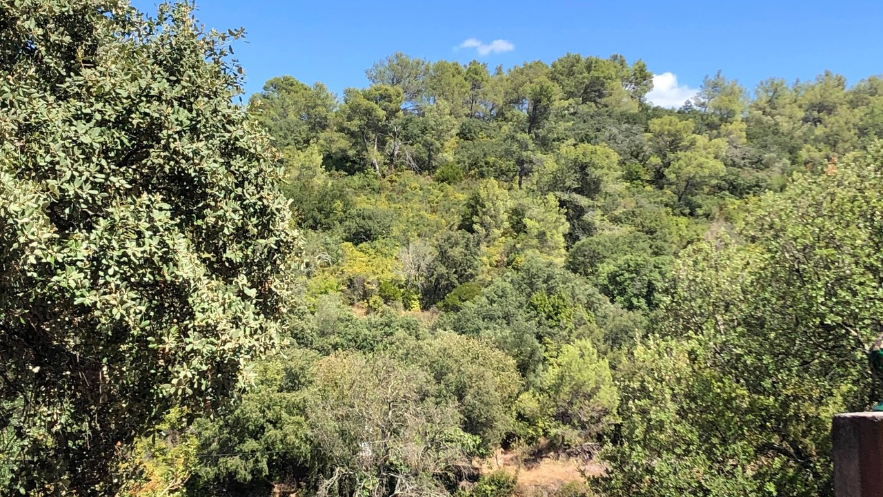 Photo of Outdoor in Garrigues