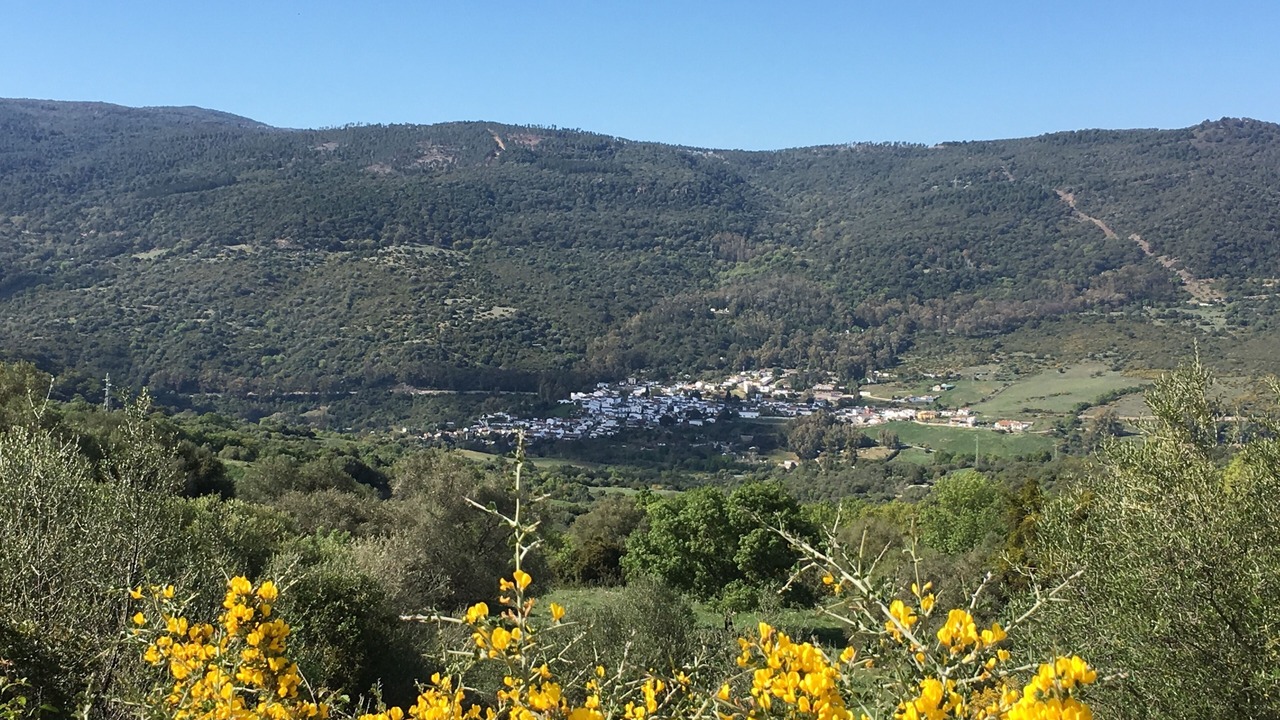 Photo of Others in El Colmenar