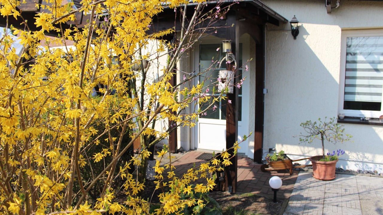 Photo of Outdoor in Peenemuende