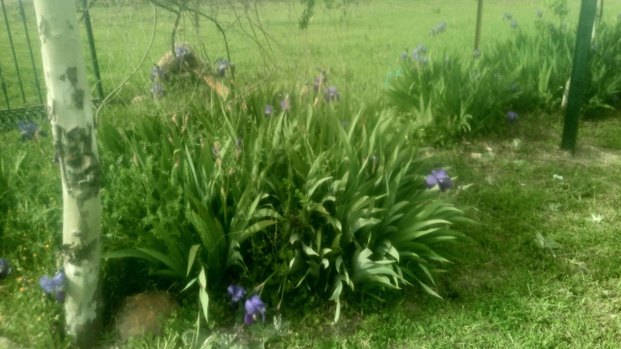 Photo of Outdoor in Canamero