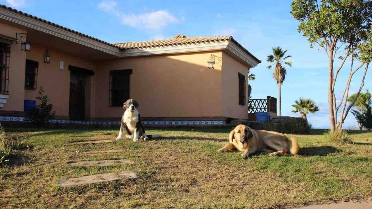 Photo of Outdoor in Valverde del Camino