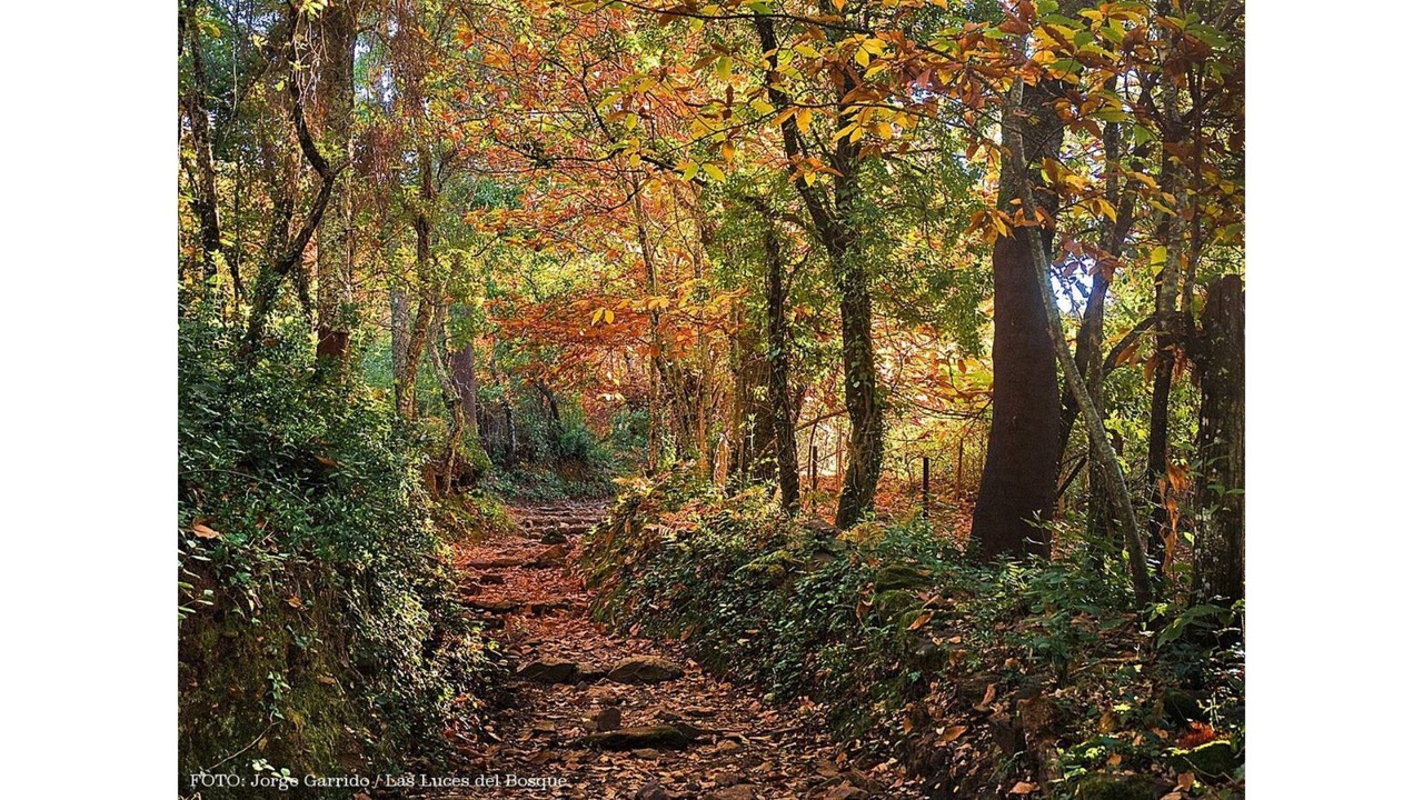 Photo of Outdoor in Valverde del Camino