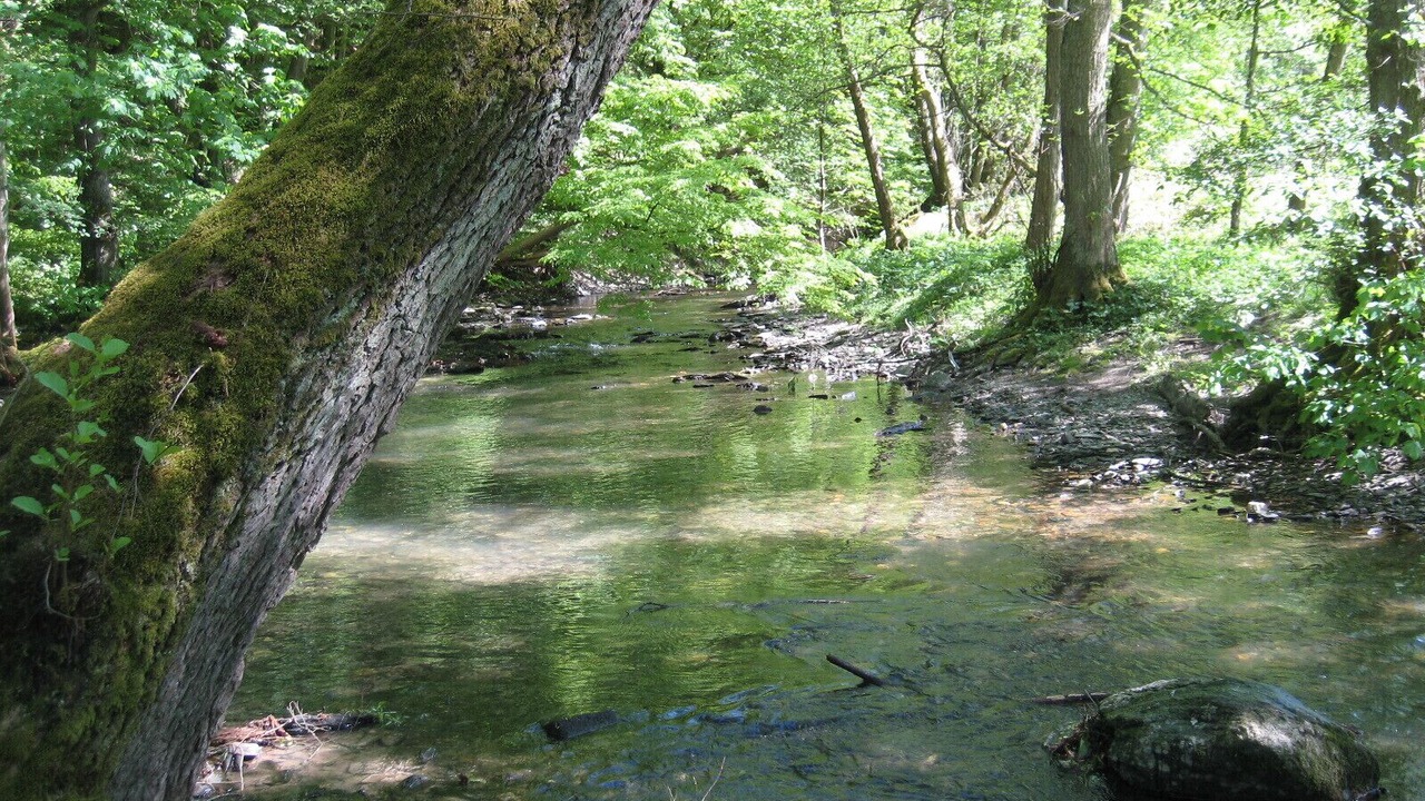 Photo of Outdoor in Rod an der Weil
