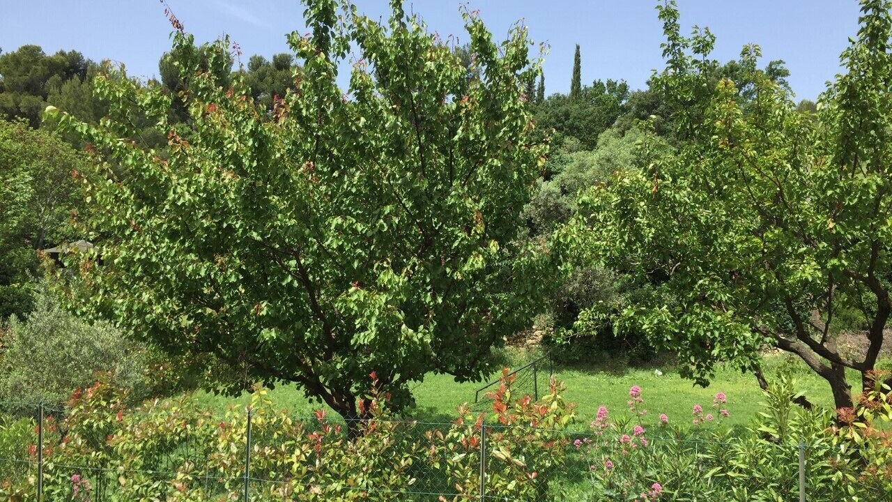 Photo of Outdoor in Salon-de-Provence