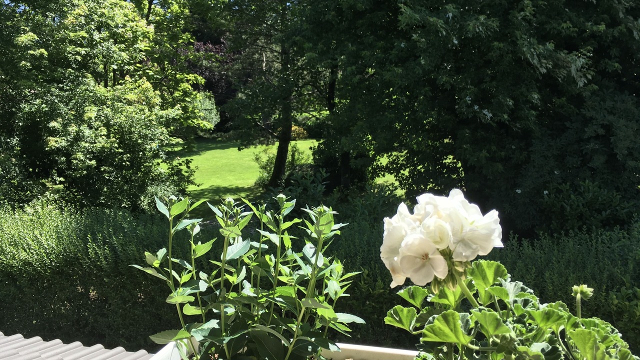 Photo of Outdoor in Annecy-le-Vieux