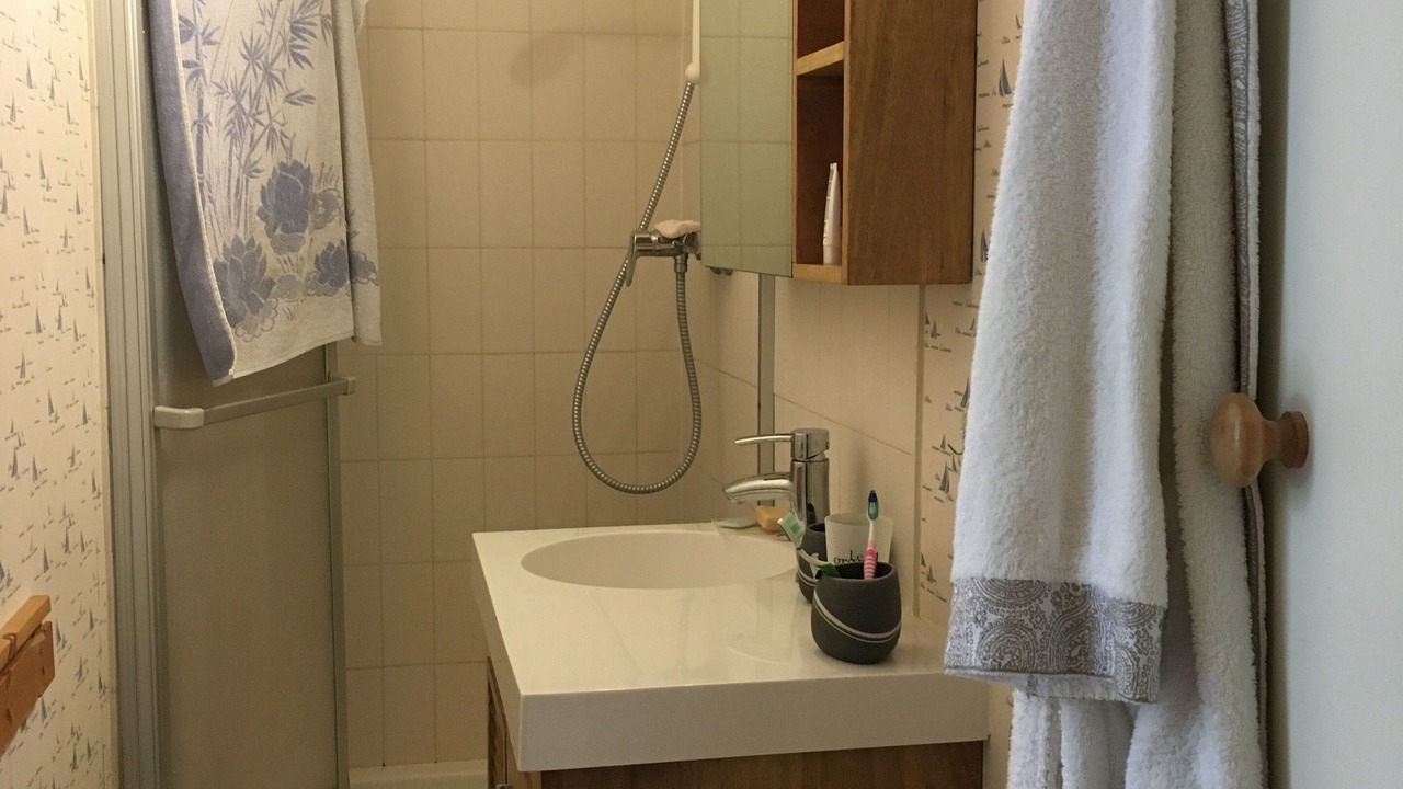 Photo of Bathroom in Annecy-le-Vieux