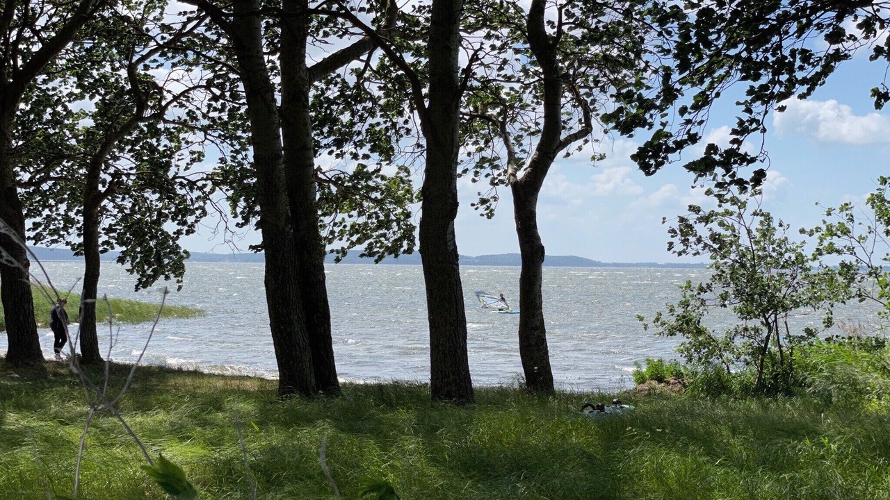 Photo of Others in Neddesitz