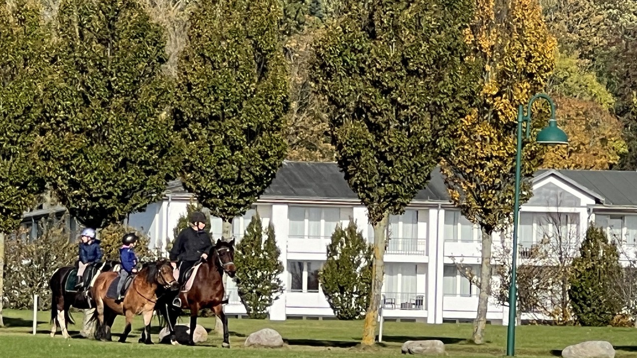 Photo of Others in Neddesitz
