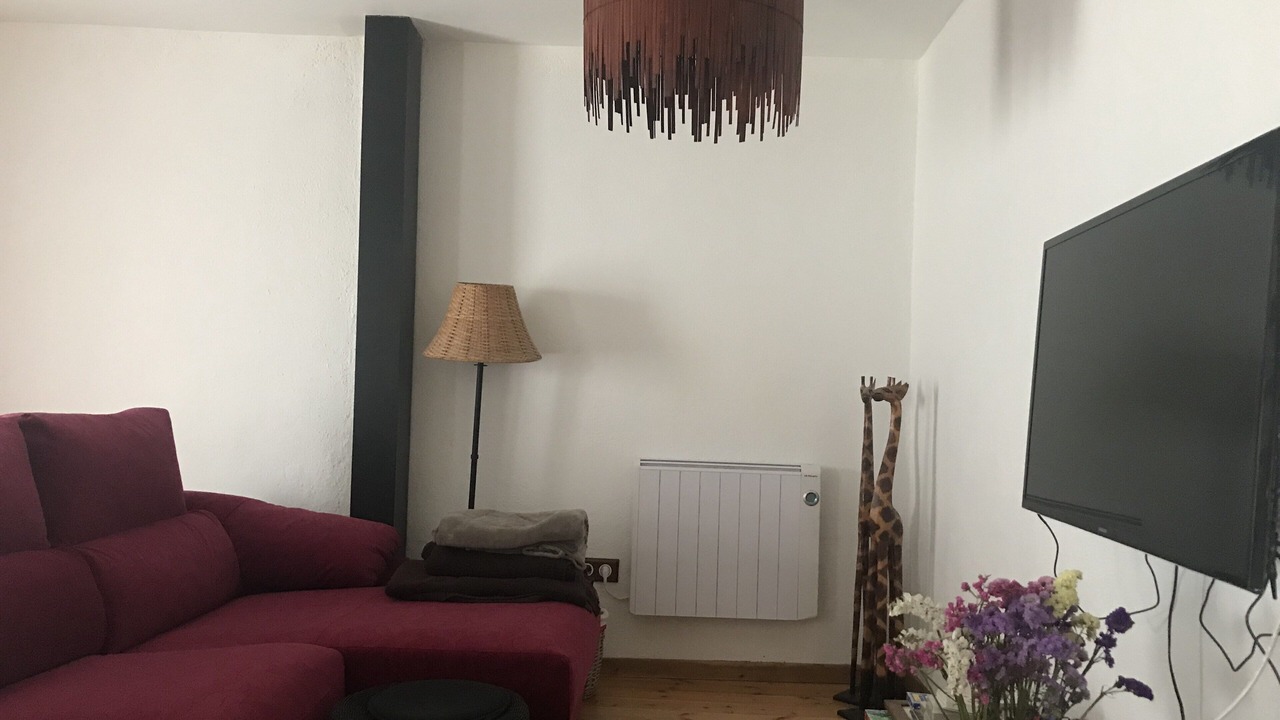 Photo of Livingroom in Planoles
