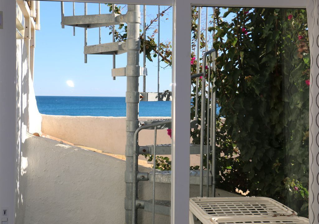Photo of Others in Bahia Dorada
