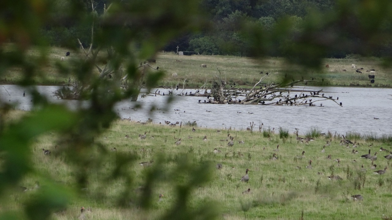 Photo of Outdoor in Pommerby