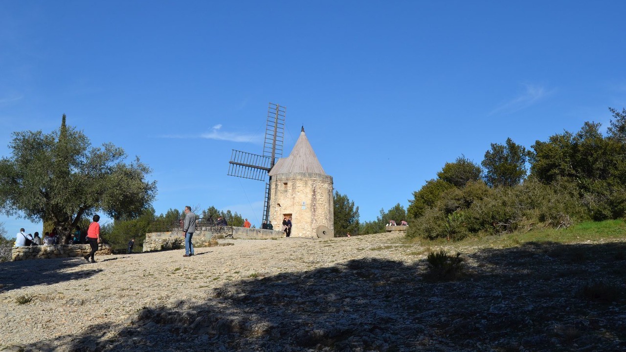 Photo of Others in Fontvieille