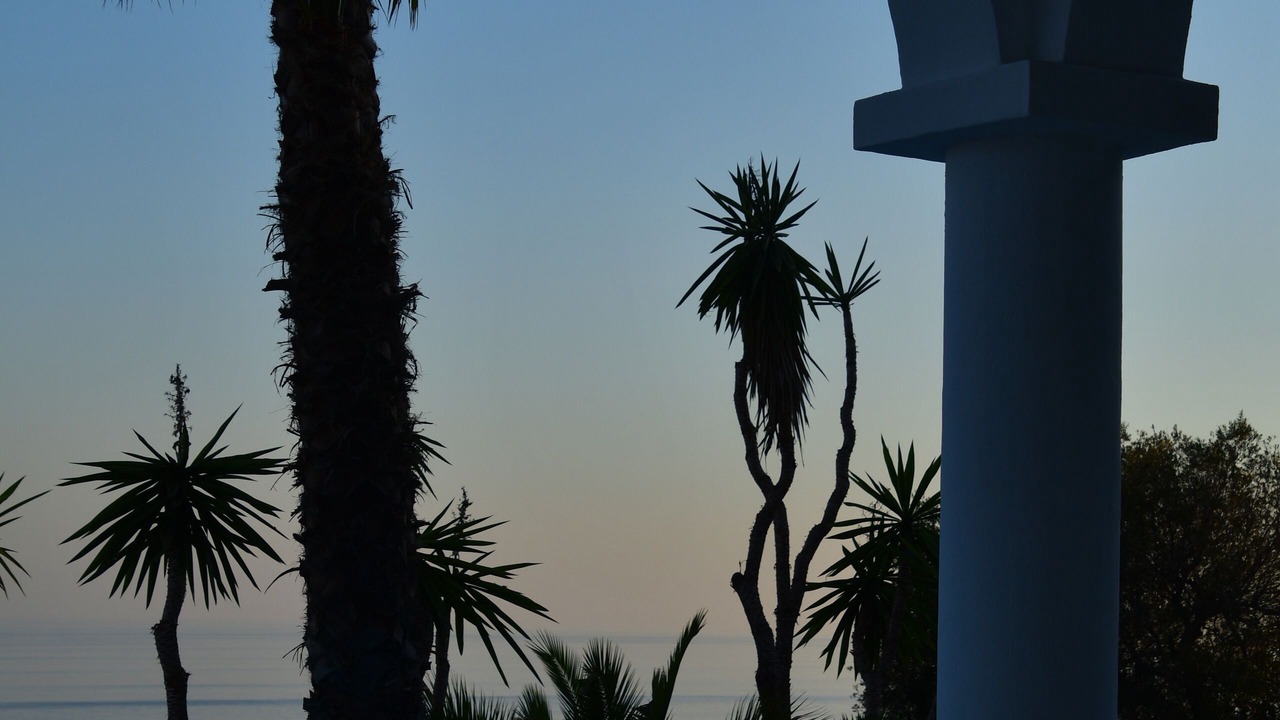Photo of Outdoor in Torre de Benagalbon